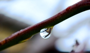 droplette reflection 2